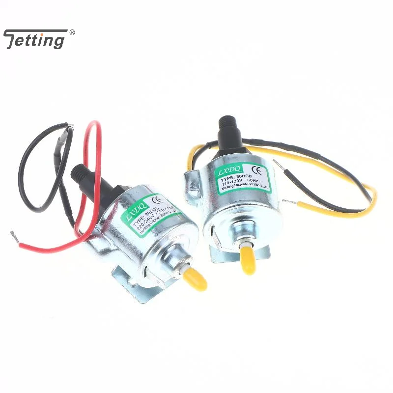 1Set 220V/110V Ac Messing Fog Rookmachine Oliepomp 30/40DCB Rookmachine Oliepomp 18W 31W Stage Party Power Pomp Onderdelen