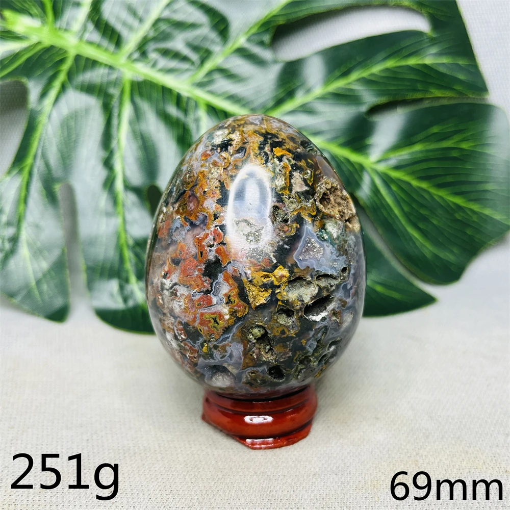 Ancient Sea Jasper Stone Egg Natural Gemstone Home Room Decoration Gift Energy Crystal Healing Witchcraft Altar Prayer Meditatio