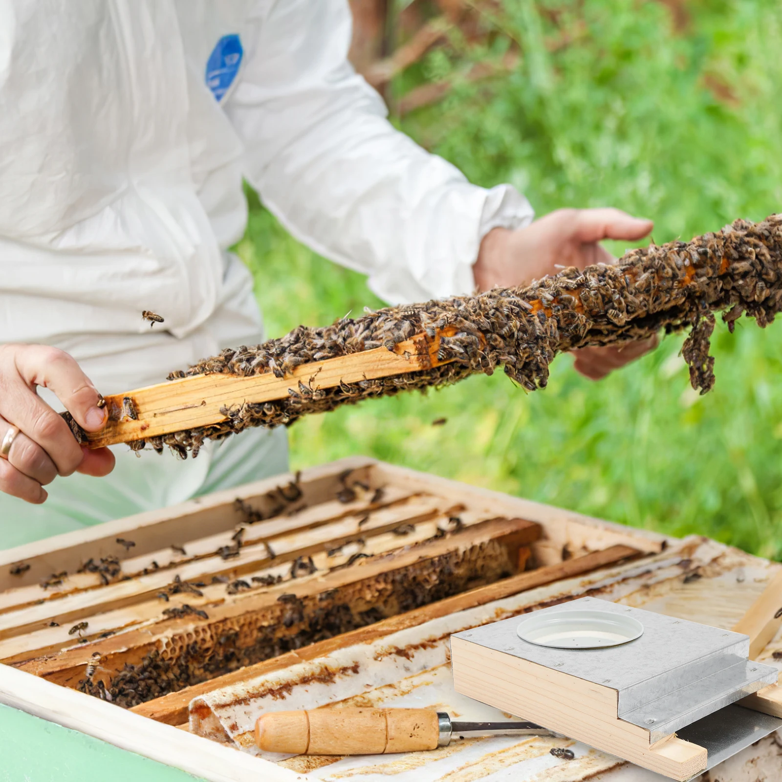 

Beehive Entrance Feeder Durable Bees Water Drinking Device For Beekeeping Front Water Feeding Tool Stable Long Lasting