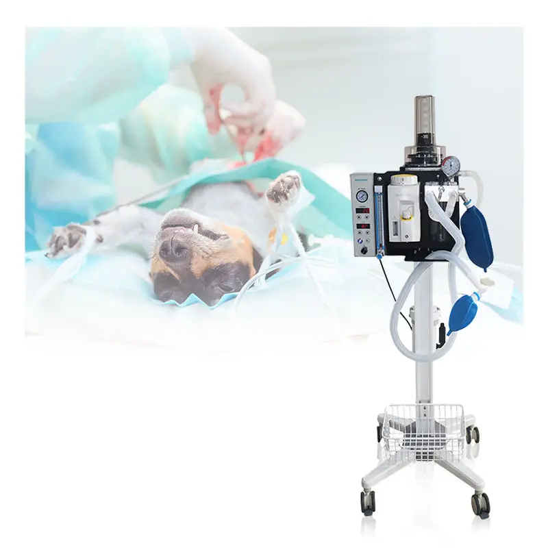 Professional  Anaesthesia Equipment Trolley for Animal Hospitals Veterinary Anesthesia Ventilator for Animal Use