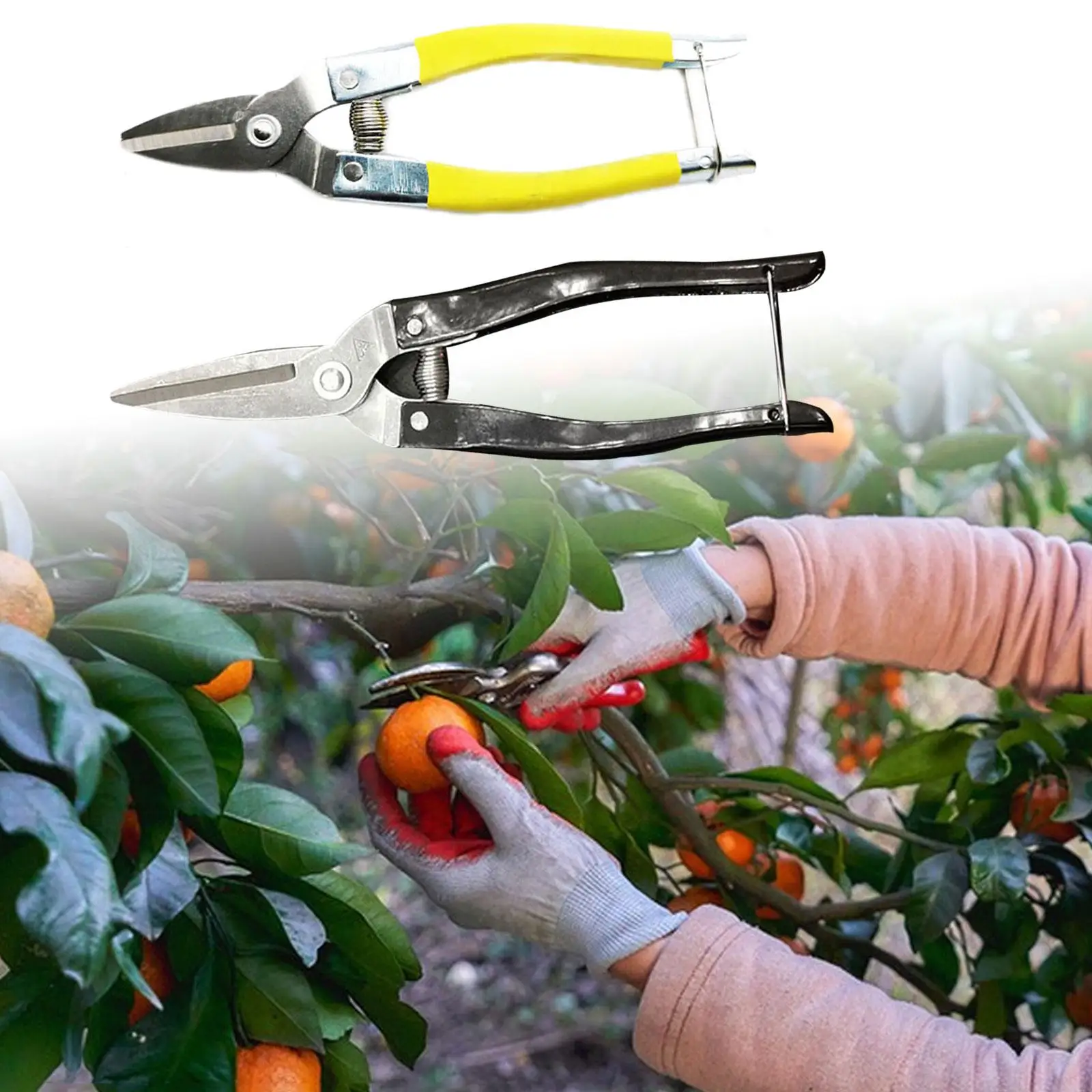 

Premium Stainless Steel Garden Shears for Efficient Yard Maintenance