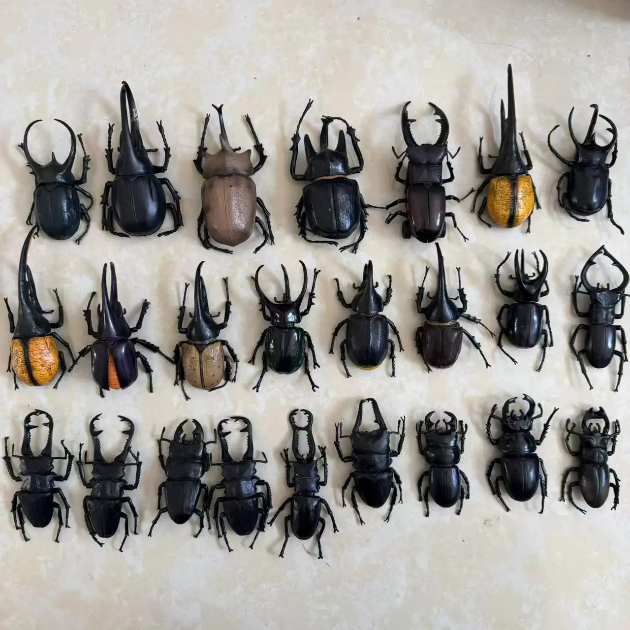 Biographical Analysis of Deer Antler Beetle and Claw Shaped Insect Beetle Gacha Simulation Animal Movable Joints Figure Toys