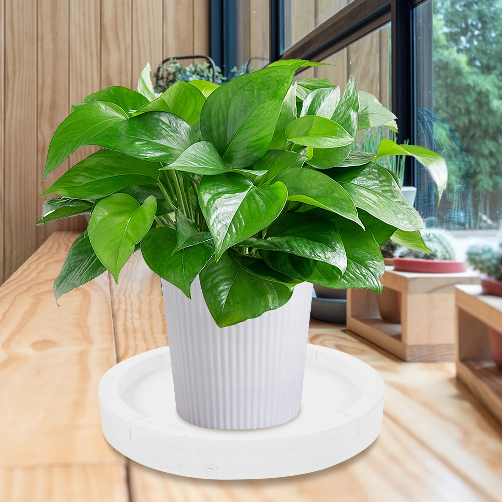 

Flower Pot Tray Saucer Round Cement Color 20cm Diameter Durable Plastic Plant Accessories Water Catcher Drainage Stand