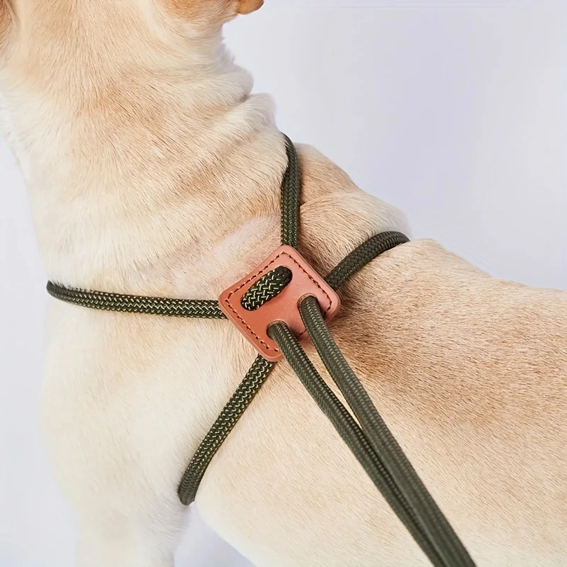 Integrated Leash for Dogs, Adjustable Chest and Back, Pet Leash