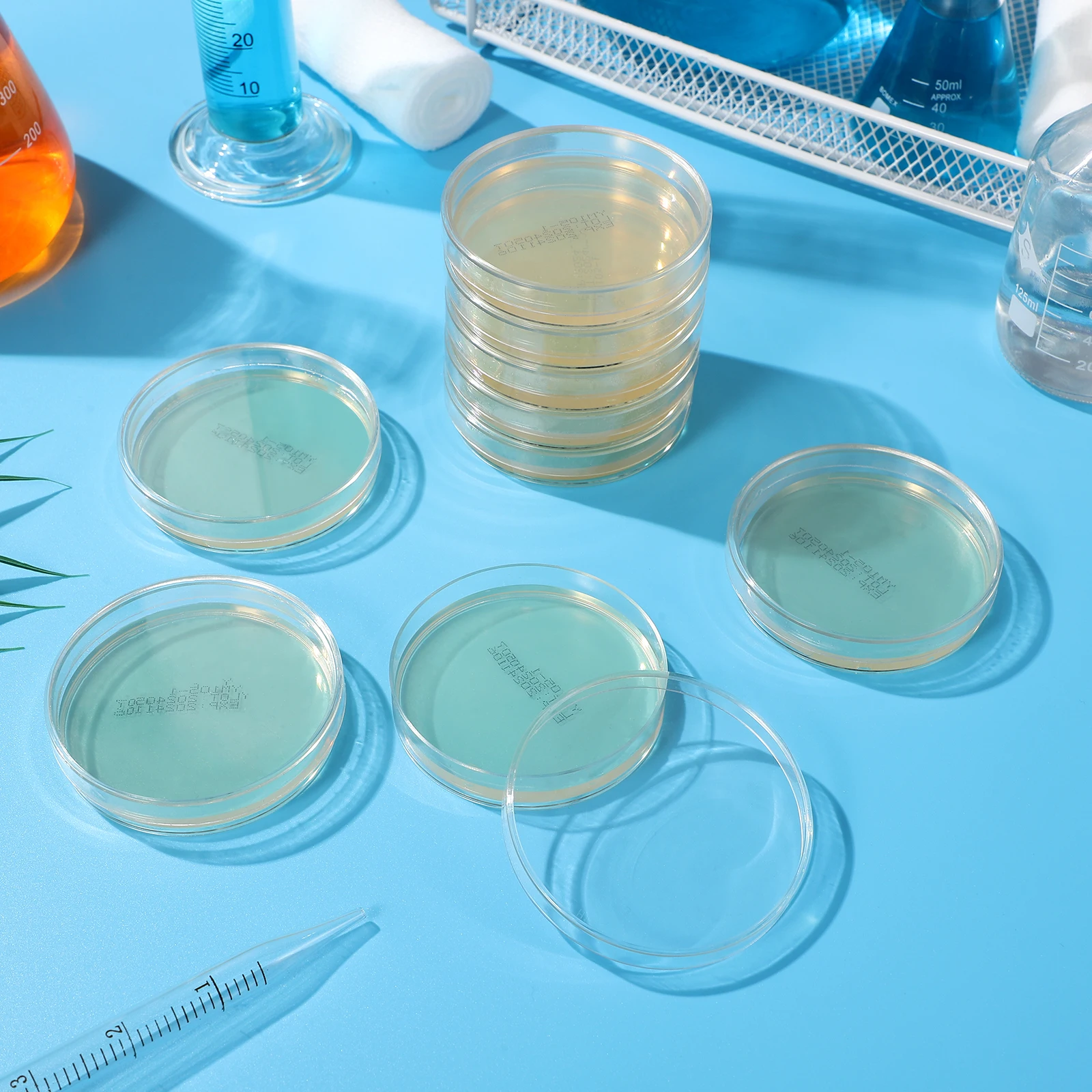 10 Pcs Nutrient Agar Plate Prepored Plates Flash Prepared Prepoured Petri Dishes Filled Dad