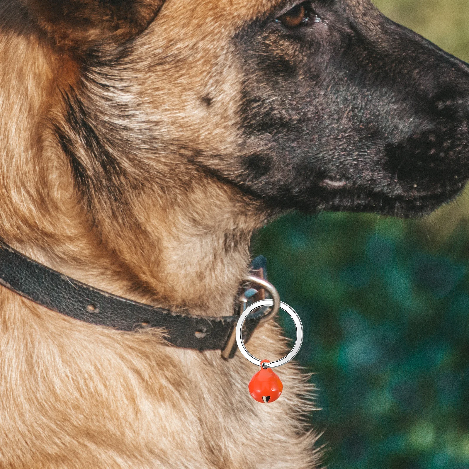 60 قطعة أجراس ملونة لياقات الحيوانات الأليفة أجراس معلقة صغيرة للقطط والكلاب DIY بها بنفسك زينة الحرفية مهرجان الزفاف الحلي #4