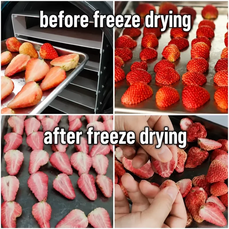 Small Commercial Food Freeze Dryer Machine Stainless Steel Vacuum Fruit Meat Pet Food Dehydrator Home Business Equipment