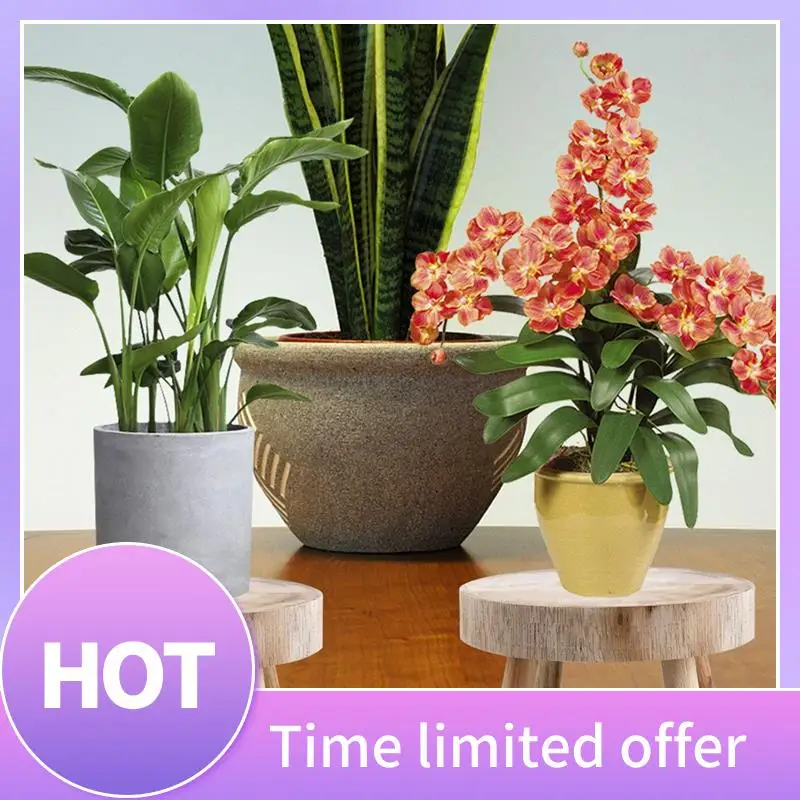 

B69C Mini Wooden Stool Display Plant Stand Decorative Wood Plant Stool Bonsai Holder For Indoor Outdoor Home Garden Durable A