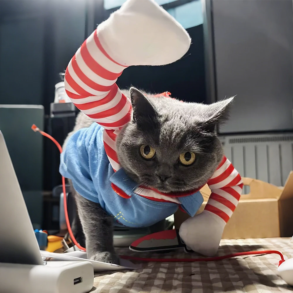 Thumbnail 2 - #83 Dog Apparel Comparison Guide