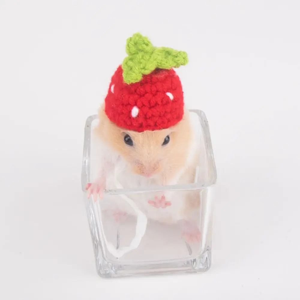 

Portable Cartoon Hamster Hat Handmade Adjustable Pet Knitted Hat Soft Small Pet Caps Photograph