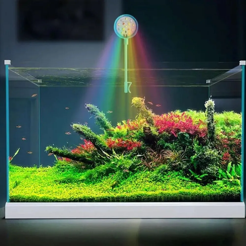 

USB-Plug Aquarium Mini Lamp LED Fish Tank Colored Lights Accessories Fishbowl Landscaping Reptile Animals Crap Goldfish Turtle