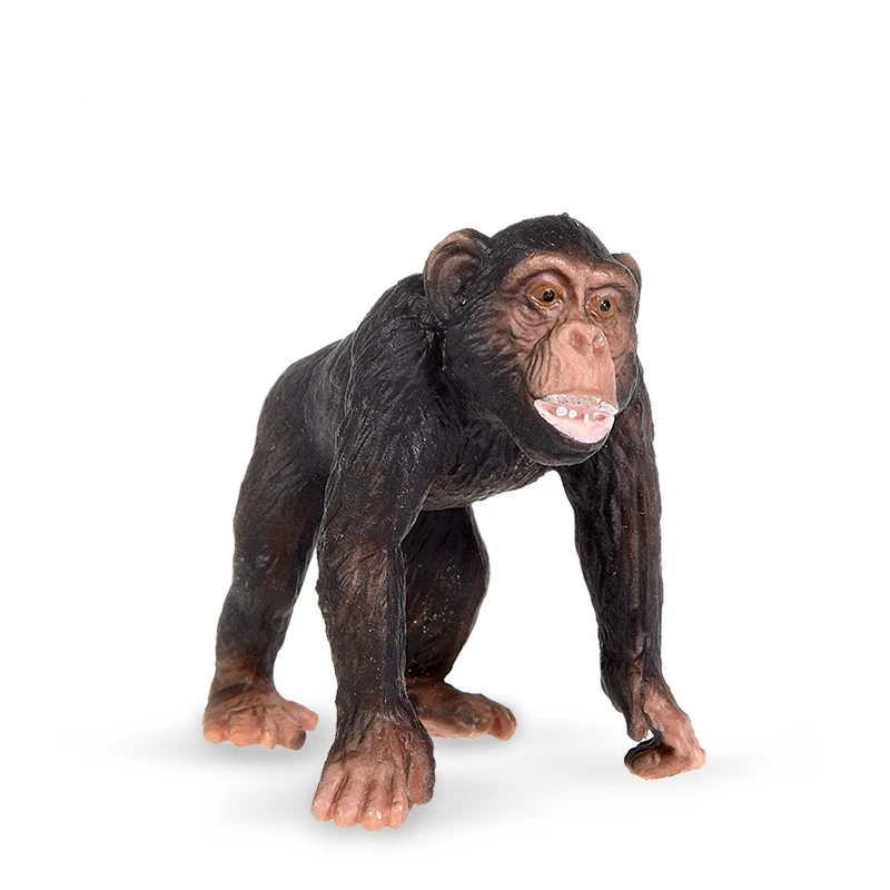 Simulation chimpanzee model desktop small chimpanzee ornament home decoration