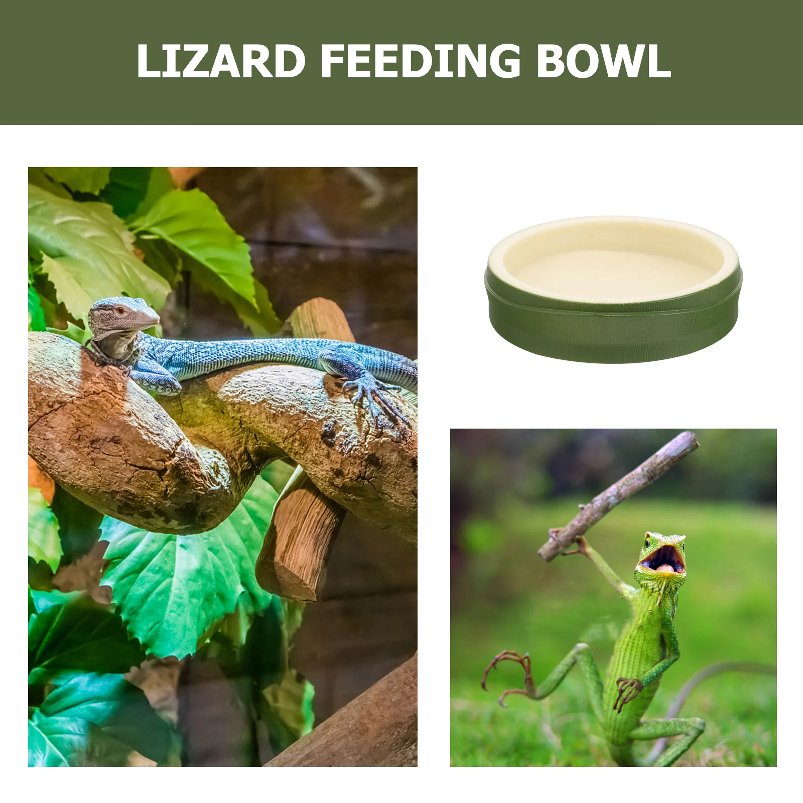 Bamboo Joint Feeding Bowl Plastic Reptile Water Dish Non-Slip Tortoise Food Bowl Reptile Feeder Terrarium Supplies Pet