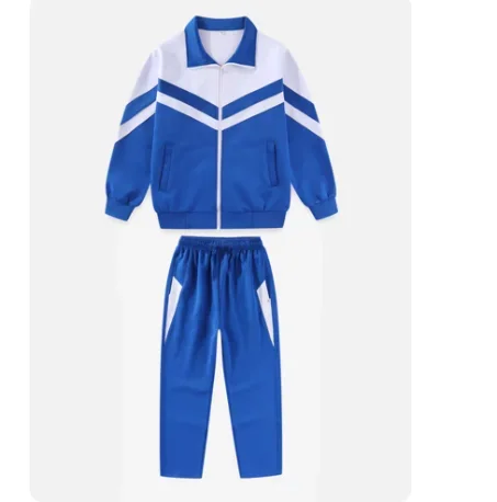 Chinese Middle School Uniform Vintage 90S Blue Include Jacket Pants Spring
