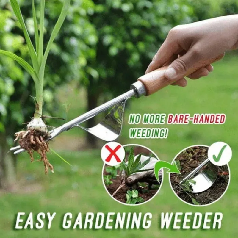 Imagem -05 - Jardim Weeder com Cabo de Madeira Mão Weeding Remoção Cortador Extrator Tools Multifunction Weeder Transplante Aço Inoxidável