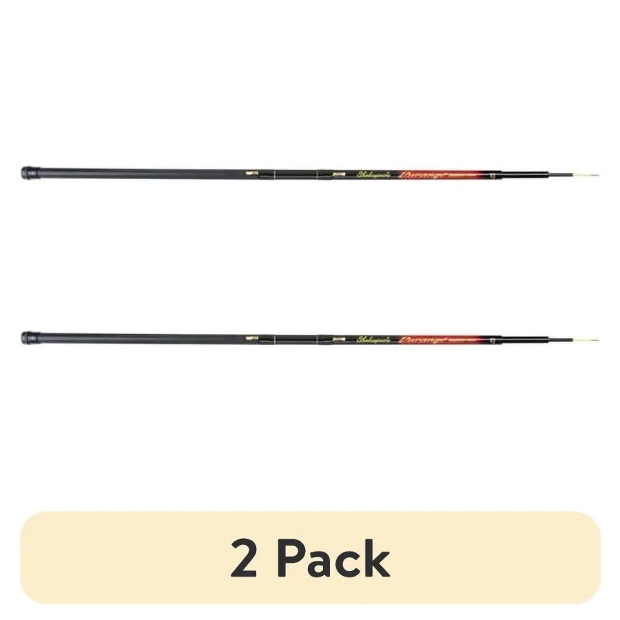 

Набор из 2 удилищ DURANGO Spinning Rod 10' для легкой рыбалки в пресной и соленой воде, легкая конструкция с высокой производительностью.