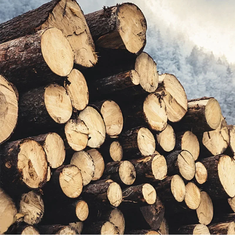 Montessori Holz Mini Schach Spiel Interaktion Puzzle Gehirn Logische Ausbildung Lernen Frühen Pädagogisches Spielzeug Für Kinder Kinder