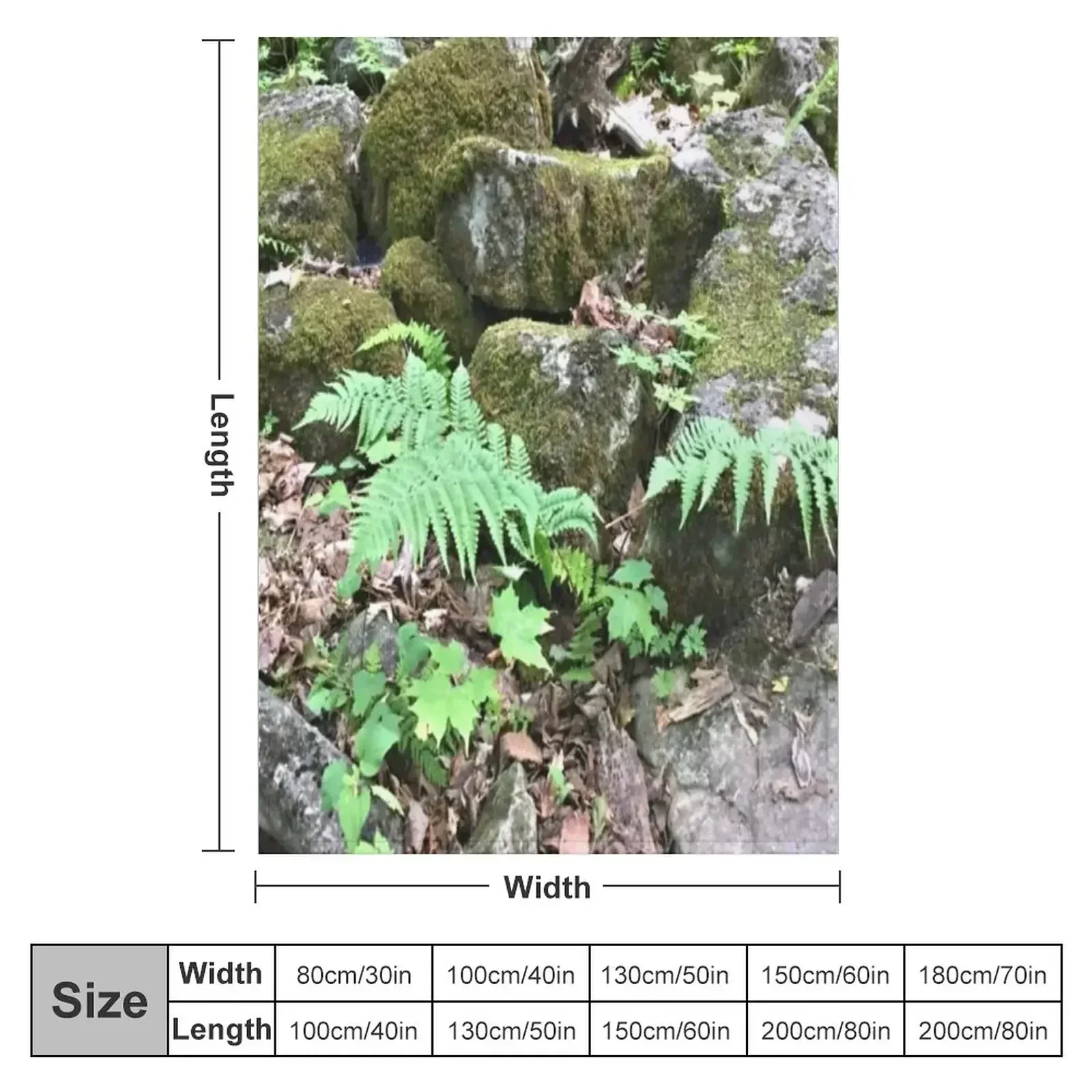 Fern Forest Floor / Mossy Cover / Rocks / Lush Plants Throw Blanket couch cozy soft plush fuzzy picnic outdoor blanket