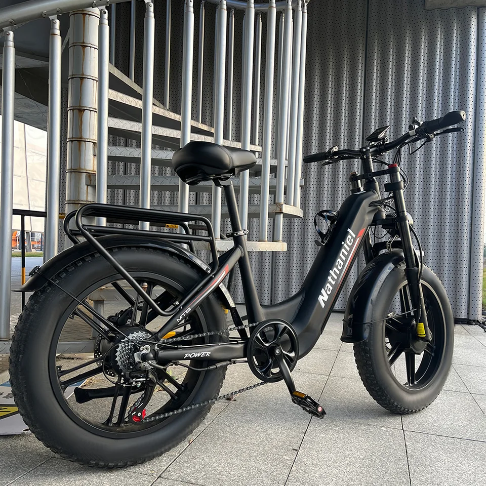 Dual Drive Integrated Wheel E-Bike 2000W 20x4.0 Tire 48V20AH for Urban Commuting & Off-Road Snow/Sand image 7