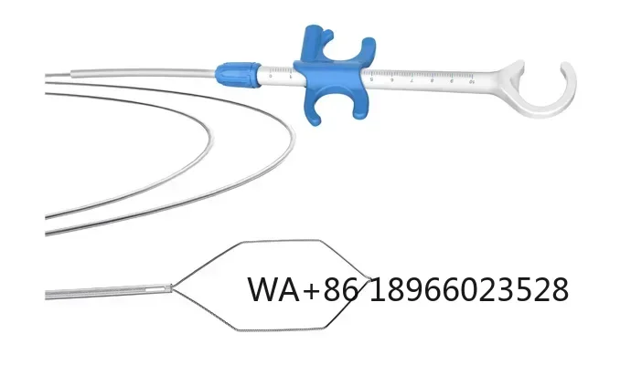 

disposable polypectomy snare