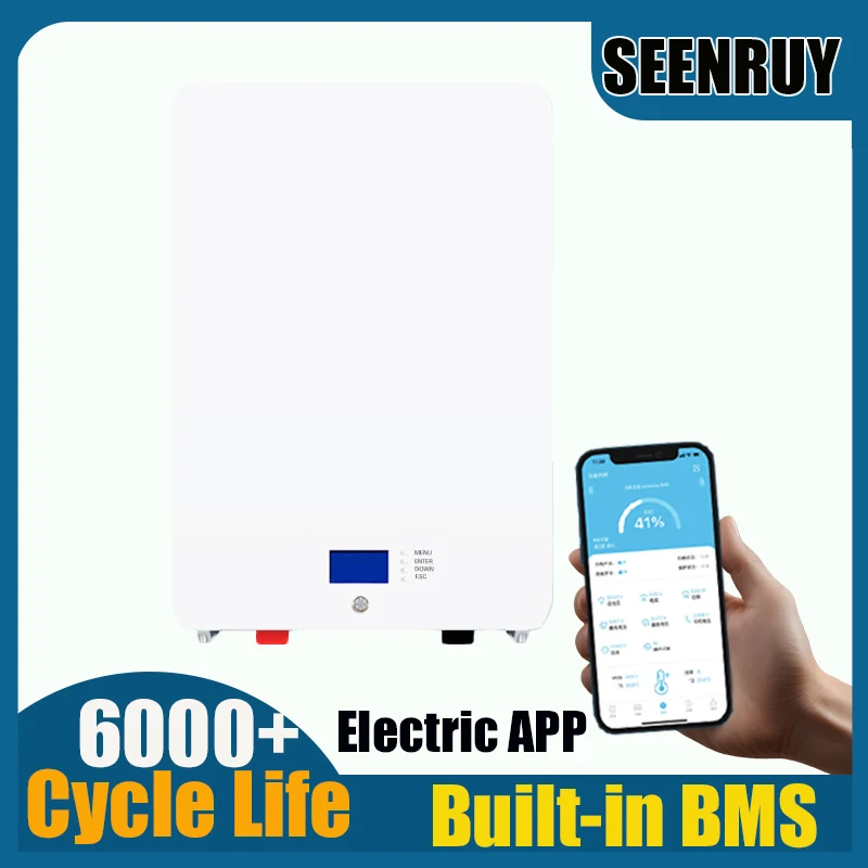 SEENRUY 24V 100AH 200AH lifepo4 battery with BMS 100A 200A for Home Energy Storage System