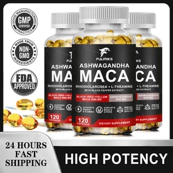 Natural Concentrated Extracts Black + Red + Yellow Maca Root, Korean Ginseng, Ashwagandha, Maca Root Capsules