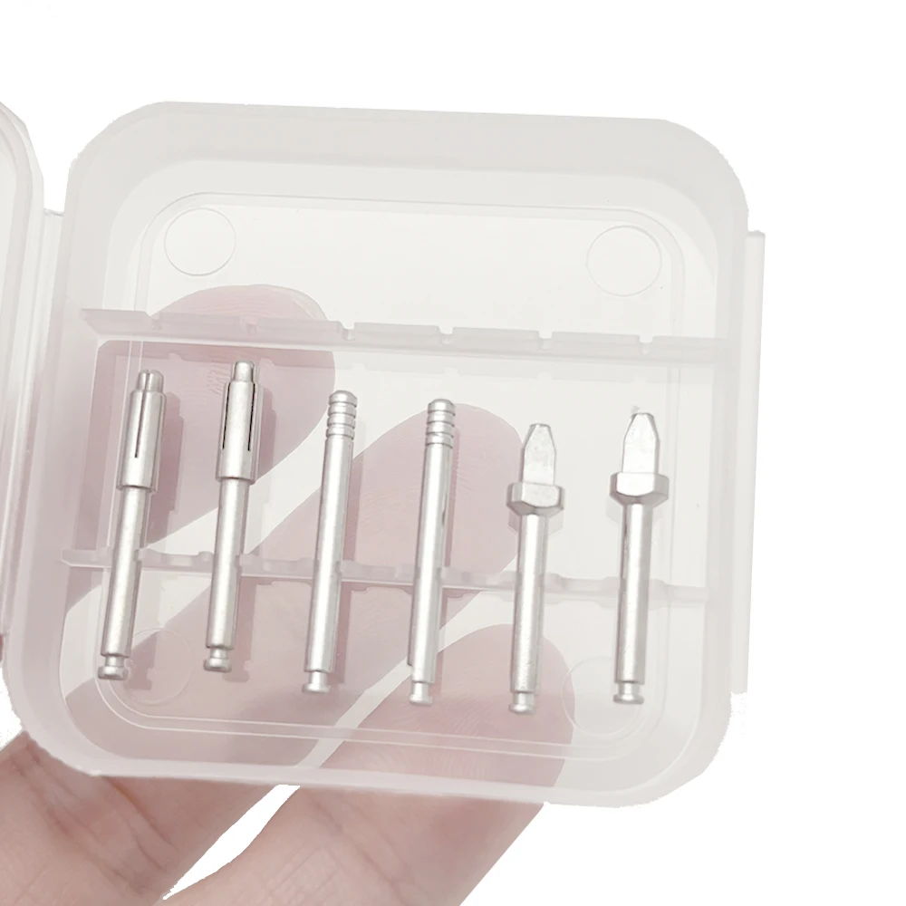 Professional 6 Piece Dental RA Mandrels Set with Silicon Ion Precision Discs for Root Canal Polishing