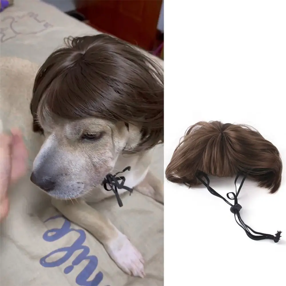 Photography Props Pet Wigs Cosplay Props Prank Wig Cap Hat Pet Supplies Head Accessories Dog Cat Cross-Dressing Hair Halloween