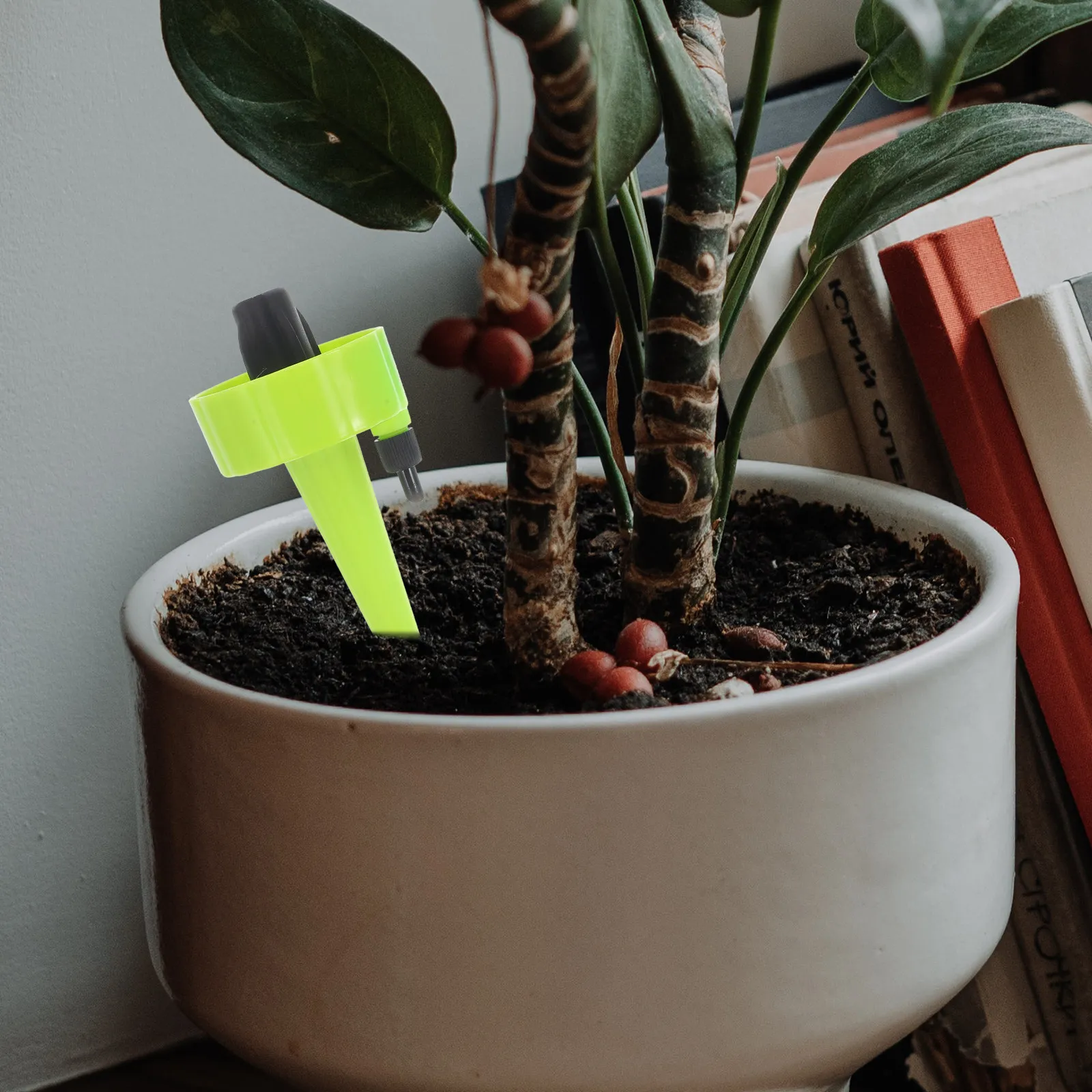 

6Pcs Automatic Plant Watering Stakes Convenient Self Watering Devices for Indoor Outdoor Potted Plants Plant Waterer Globes