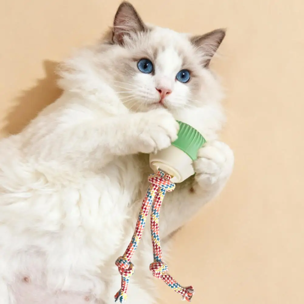 giocattolo-per-gatti-per-stimolazione-mentale-giocattolo-per-cani-ricaricabile-con-funzione-di-registrazione-per-esercizio-indoor-e-outdoor