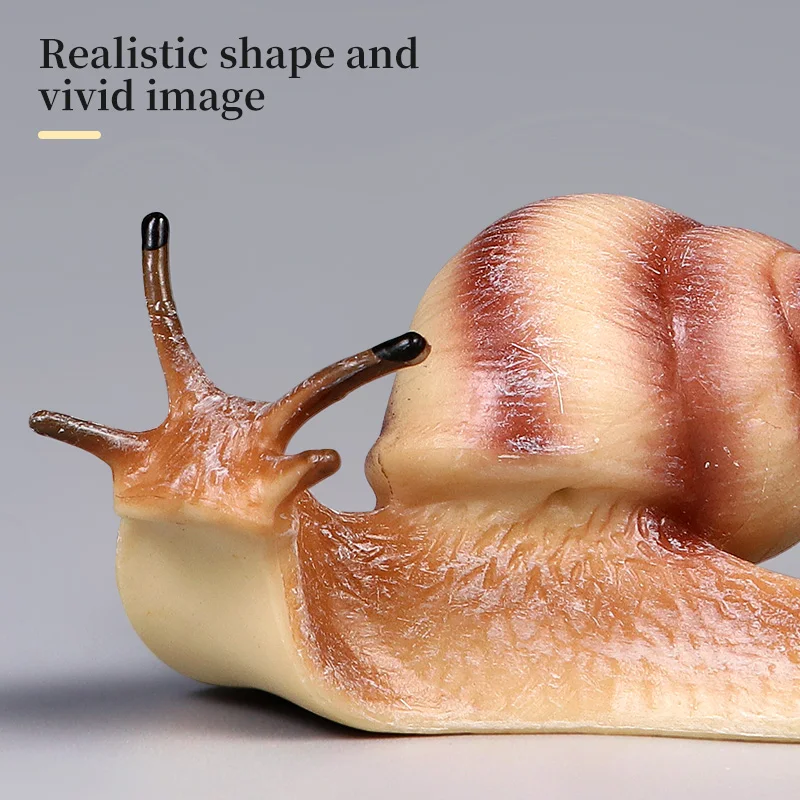 لطيف الحشرات البرية الحيوانات الحلزون نموذج حديقة الديكور البلاستيكية مصغرة ألعاب تعليمية للأطفال #4