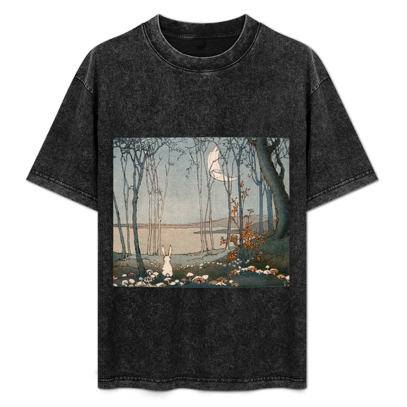 Bunny and the New Moon - Shirley Kite T-Shirt quick-drying blanks shirts men graphic