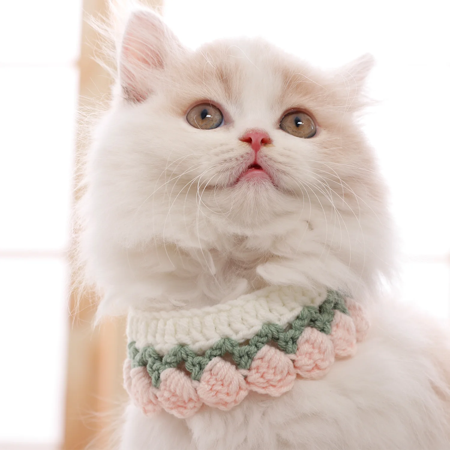 Handmade Knitted Cat Scarf and Cute Dog Collar Winter Cotton Pet Decorations Sweet Style Wholesale