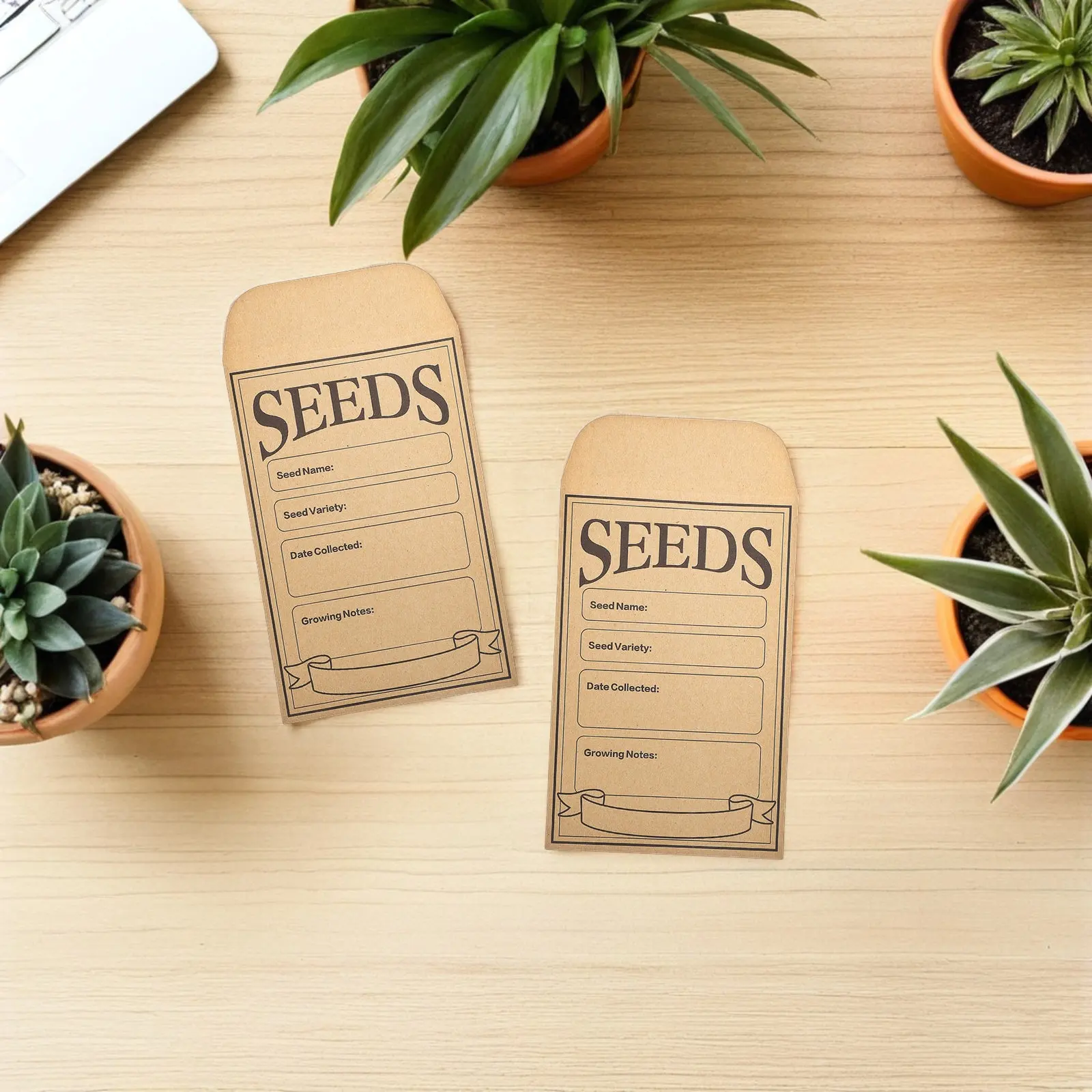 

50Pcs Mini Kraft Paper Envelopes for Seeds Storage Self-Adhesive Resealable Blank Seed Packet Bags Flower Vegetable Coin