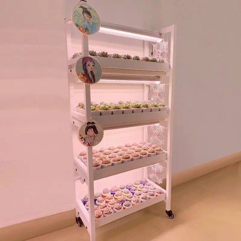 Flower stand soaking pot indoor, wrought iron flower sundries rack, succulent flower stand movable with wheels for decorative