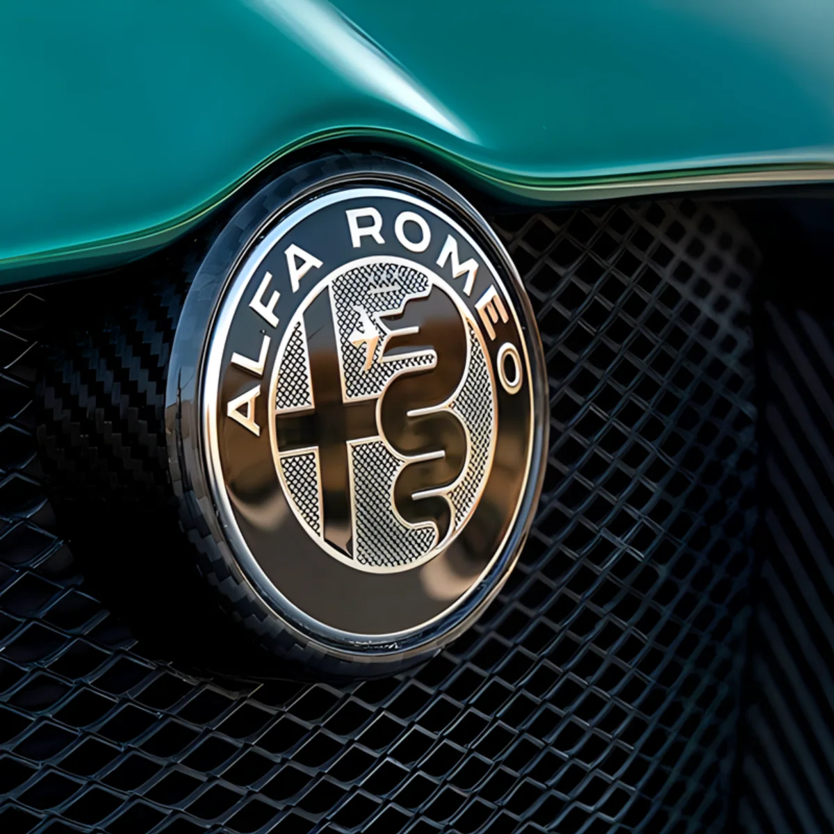 yZ[z2 7F 74mm ԗptgt[hGuS AgNobW At@I 159 147 WGb^ XeBI 4C ~g WA X|eBop