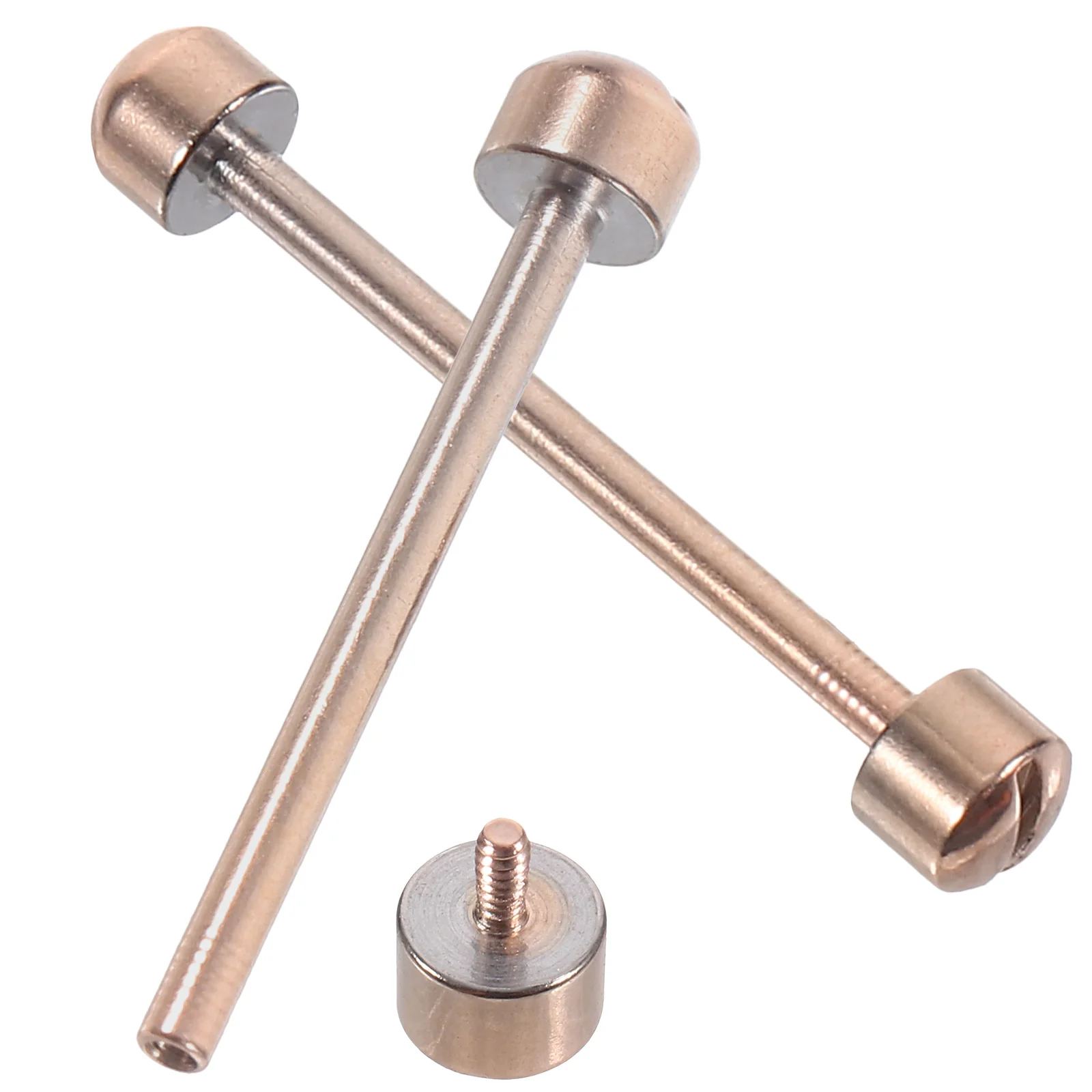 

2 Pcs Stainless Steel Ear Bar Watch Making Replacement Tube and Screw Pin for Watches