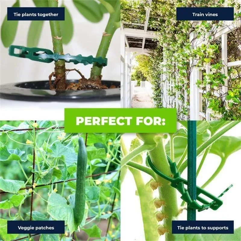 Wholesale Reusable Plant Fixed Zip Ties Adjustable Self-locking Tie for Garden Tree Climbing Support Plant Vine Tomato Stem Clip view 5