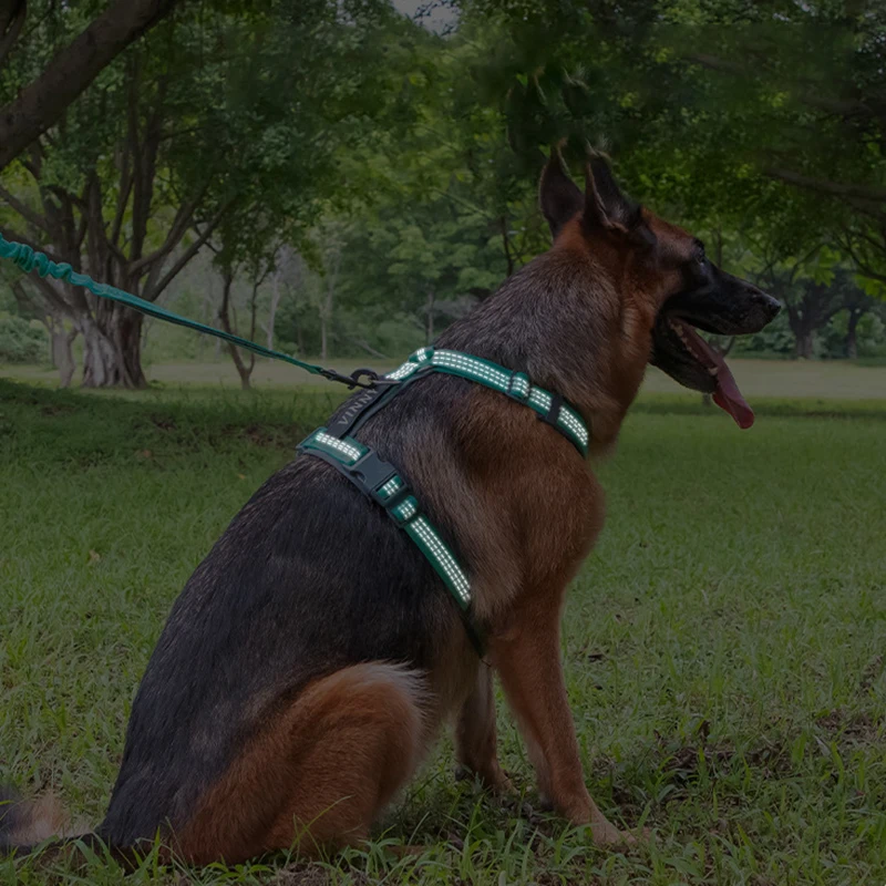 مريحة قابل للتعديل H-شكل كبير الكلب تسخير قابل للغسل النايلون ليلة عاكسة لا سحب سترة للحيوانات الأليفة تسخير Arnés Para Perros