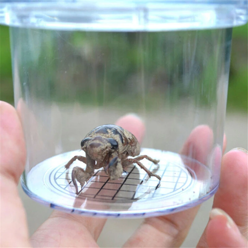 Portable Children Crawlers Animal Spider Insect Box Magnifying Glass Insect Cage Bug Jar For Science Nature Exploration