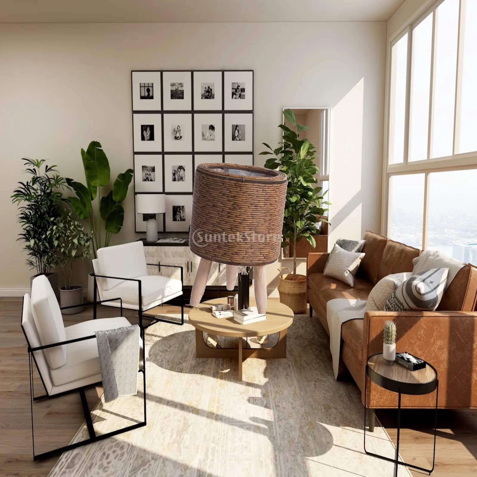 No image