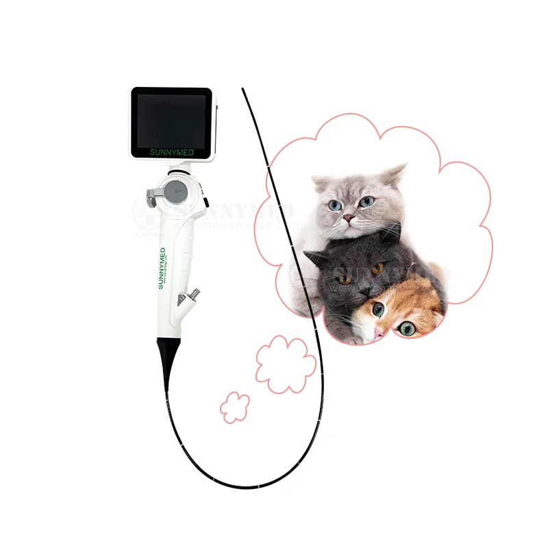 SY-P029-3 Medical Veterinary Endoscope Flexible for Small Animals Cystoscope Ureteroscope Gastroscope for Vet Clinic Hospital