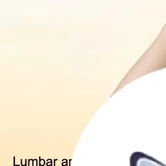 

Регулируемый магнитный поясной ремень для терапии спины для женщин и мужчин, массажная стальная пластина, поддерживающая защита, самонагревающийся массажерный ремень