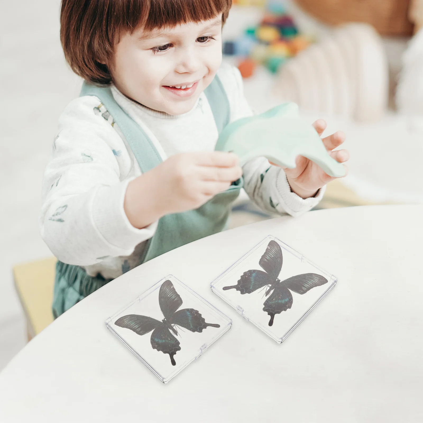 

Butterfly Specimen Display Box Educational Decorative Plastic Frame Collection Gift Desktop Ornament Teaching Prop Home