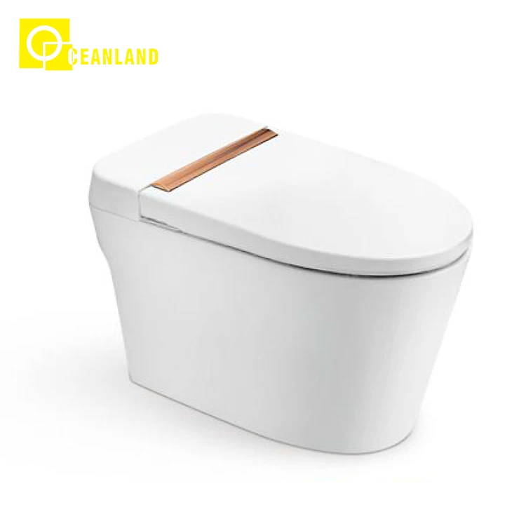 Hot Sale Toilet Intelligent Bathroom White Ceramic Smart Toilet