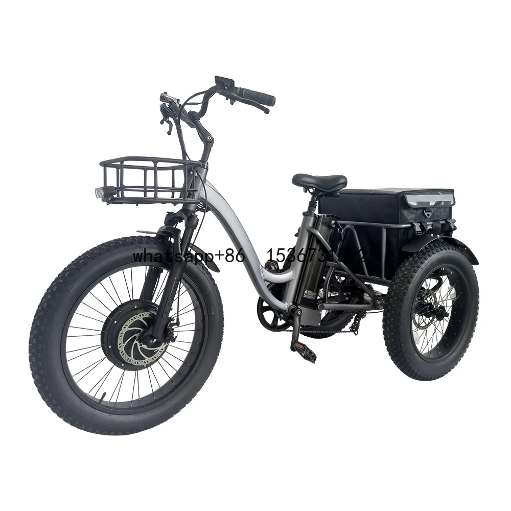 48V 1000W ebike electric bike 3 wheel electric