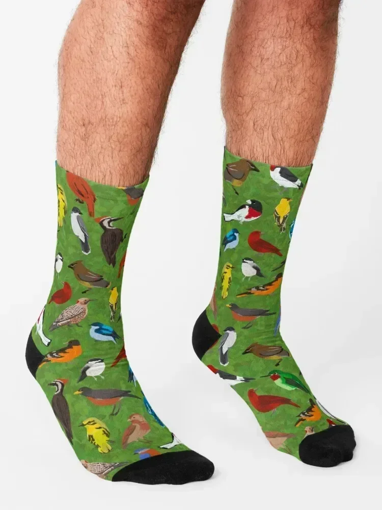 Backyard and Forest Birds on Leafy Background Socks Stockings new in's happy Children's Socks Men's Women's