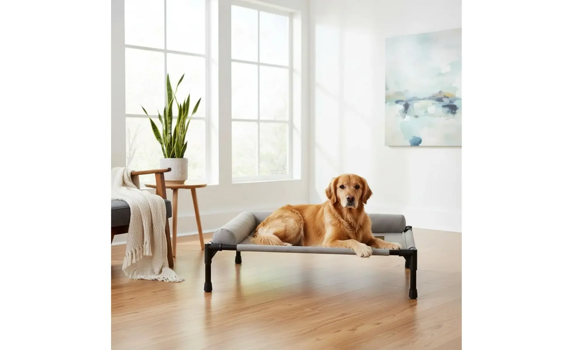 Elevated Pet Bed All-Season Use Raised Dog and Cat Bed Pet Cot Moisture-Resistant Easy to Clean for Dogs, Travel, Patio