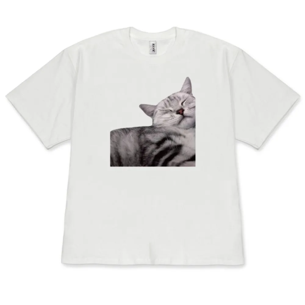 Kawaii Sleeping Cat T-Shirt Cute Cat Relaxing Tee Casual Short Sleeve for Men Women Cat Lover Gift Top Fashion Versatile Y2k