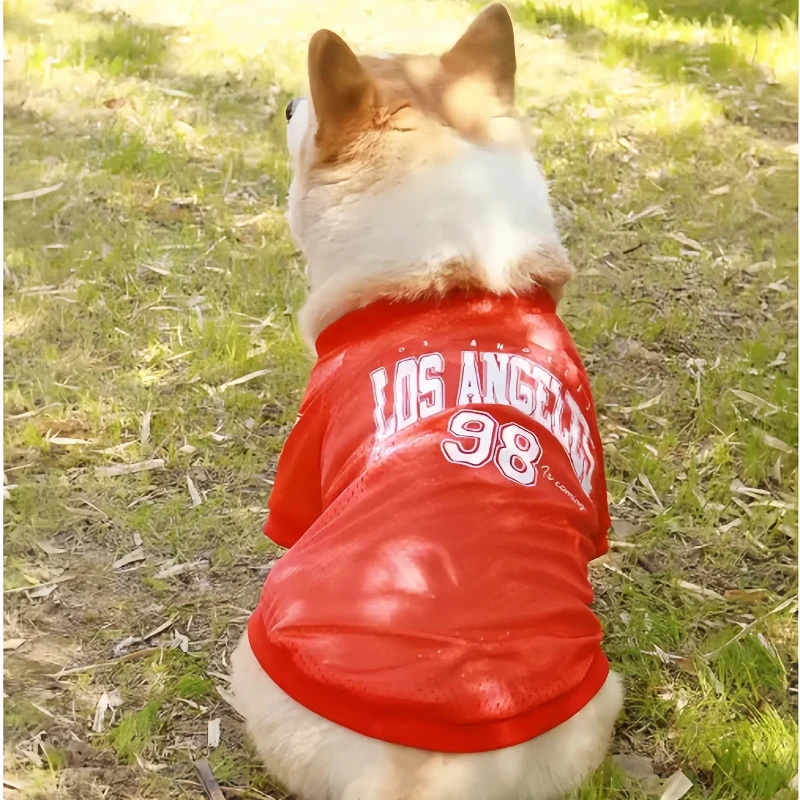 Thumbnail 4 - #44 Cheapest Dog Apparel Deals You Can Get